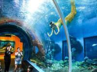 武漢東湖海洋世界可以帶吃的進(jìn)去嗎