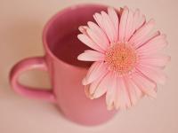 上海伴游文化傳媒有限公司國順路分公司