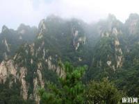 王順山國家森林公園