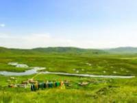 郭莽濕地甘肅景點