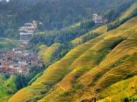 金佛頂觀景點廣西景點