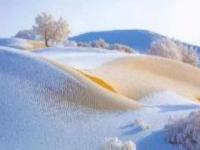 塔克拉瑪干沙漠（阿克蘇）新疆景點