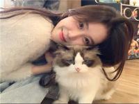 扶余伴游小姐姐洽談員甫問寒