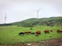 山花牛奶牧場(chǎng)貴州景點(diǎn)