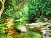 珍奇植物園海南景點