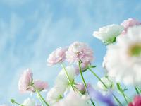 上海伴游電子商務有限公司